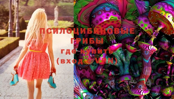 тгк Армянск